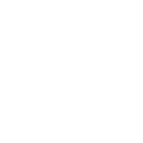 CarConvo Logo